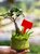 园艺多肉标签牌园艺植物花名花盆塑料标签防水小插牌多肉盆栽标签(环形标签绿色（100张）)第3张高清大图