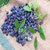 森骄 蓝莓果干 蓝莓干 250g第3张高清大图