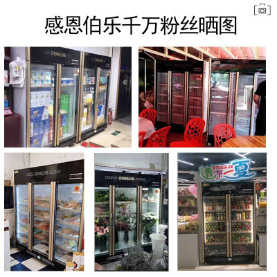 五洲伯乐 展示柜饮料柜保鲜柜商用冰柜立式冷藏柜啤酒饮料双门三门展示柜商用点菜柜(LC-888S)