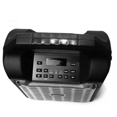 飞利浦 SD55/93 户外广场舞便携式拉杆音响移动蓝牙音箱无线话筒K歌唱歌室外(黑色 官方标配)