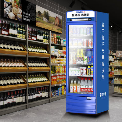 星星（XINGX）LSC-220G 220升 饮料柜商用展示柜冷藏柜啤酒陈列柜立式保鲜冷柜冰柜