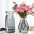 创意花瓶玻璃透明水养客厅摆件鲜花插花瓶北欧简约富贵竹干花花瓶(15CM新诺透明特价1个中等 默认版本)第5张高清大图