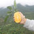 赣南脐橙原产地直发新鲜采摘橙子【甜度14-15】顺丰包邮（偏远地区不包邮）(5斤)第3张高清大图