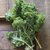 【顺丰】新鲜羽衣甘蓝 嫩叶甘兰轻食榨汁kale沙拉食材蔬菜(2斤)第5张高清大图