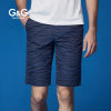 G&G2017夏季新品潮流条纹印花男装休闲短裤沙滩裤男士五分潮短裤(蓝色 28)