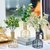 北欧创意玻璃花瓶透明仿真花艺套装水培植物花瓶客厅餐桌饰品摆件(金色试管花器+（满天星） 中等)第3张高清大图