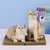 小佩猫基百科猫抓板窝磨爪器瓦楞纸猫窝垫猫爪板猫玩具猫咪用品(科幻蔚蓝)第2张高清大图