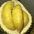 榴莲带壳整个新鲜水果(AAA品质)第4张高清大图