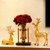 现代轻奢创意水培网红花瓶摆件客厅插花北欧玄关电视柜餐桌装饰品(大号)第5张高清大图
