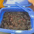 丹东特产冰冻99牛奶草莓冰点草莓黄桃蓝莓软枣新鲜水果罐头零添加(400g*3盒（蓝莓味）)第3张高清大图