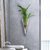 挂壁挂水培绿萝花瓶墙上水养植物玻璃瓶器皿挂墙创意透明花盆装饰(长方管)第7张高清大图