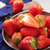 新鲜红颜草莓 现摘先发丹东99奶油大草莓 当季农家孕妇水果精选大果3斤装(4盒中果(单果13g左右)96枚)第5张高清大图