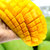 越南大青芒5斤/8斤装 单果400g起 新鲜热带水果芒果(8斤)第4张高清大图