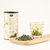 承艺茶叶 茉莉龙珠特级花茶 茉莉绣球绿茶250克 精美罐装(罐装 250克)第2张高清大图