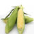 云南新鲜水果玉米现摘 8斤装 甜玉米即食生吃 玉米棒11-15个第2张高清大图