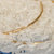 品冠膳食泰粮谷稻米500g原粮进口泰国米香米大米籼米第3张高清大图
