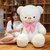 泰迪熊猫毛绒玩具公仔玩偶布娃娃抱抱熊女生大号女孩大型睡觉喜欢(肥版冰心领结熊-粉色 80厘米)第2张高清大图