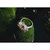 国美黄金 紫水晶蜜恋戒指2103K015(925)第3张高清大图