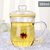 物生物蘑菇杯茶杯韩版创意潮流透明玻璃杯带把便携花茶泡茶办公杯380ML /420ML/500ML(绿色)第4张高清大图