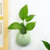 壁挂花瓶贴墙上免打孔创意悬挂式吊花盆绿萝简约客厅装饰水培器皿(YY-壁挂-唐装（黄） 小)第2张高清大图