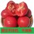 【现摘现发】山东农家沙瓤西红柿新鲜番茄新鲜蔬菜5斤装净重4.5-5斤(自定义 5斤装)第5张高清大图