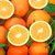 麻阳冰糖橙橙子水果新鲜当季整箱应季湖南包邮手剥果冻甜橙子(冰糖橙5斤大果)第6张高清大图