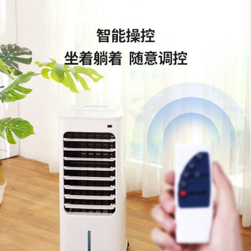 先锋（SINGFUN）DKT-L8 冷暖两用空调扇 取暖器 暖风机 电暖气 空调扇 冷风扇 家用电风扇(空调扇)