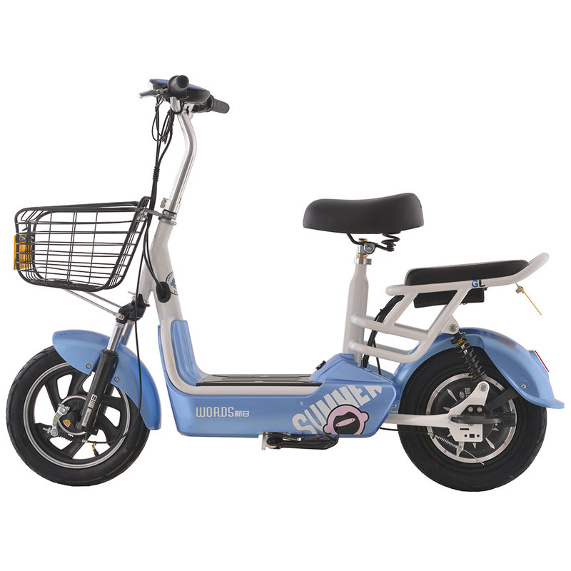 新日电动车果粒48v12ah铅幽情海蓝