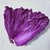 基地直发新鲜特色蔬菜紫色农产品 紫色大白菜5斤装2-3棵 包邮(自定义 自定义)第3张高清大图