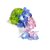 【顺丰】新鲜绣球花可食用花红蓝绿花朵酒店西餐装饰点缀 三色绣球花瓣 1盒第4张高清大图