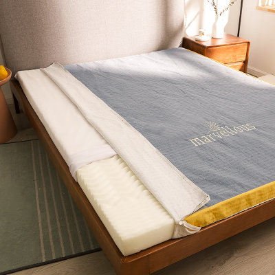 伊伊爱活性炭记忆棉可拆洗床垫厚5公分多色（单位：个）(黄 5公分厚CDBDZ02000181)