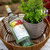 吉卡斯（jecups）巴洛特莫斯卡托 澳大利亚原瓶进口甜白葡萄酒 750ml/瓶(红色 单只装)第3张高清大图
