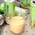 【包邮】泰国进口一诺可可椰子汁240ml*4听(原味+蜜瓜+榴莲+芒果)第4张高清大图