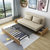 沙发床小户型网红款 坐卧两用多功能可折叠双人储物客厅简约现代(9公分高密度海棉 1.8米（无抽屉）)第2张高清大图
