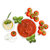 辣西西里拿坡里番茄意面调味酱350g第3张高清大图