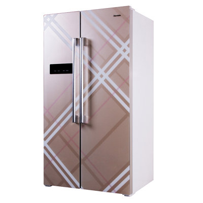 达米尼BCD-606WKGD 606升 一级能效 对开门冰箱