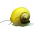 观赏螺苹果螺神秘黄金斑马洋葱活体螺水族箱彩蛋螺清洁除藻工具螺(白螺+紫螺+黄螺各1只 默认版本)第5张高清大图