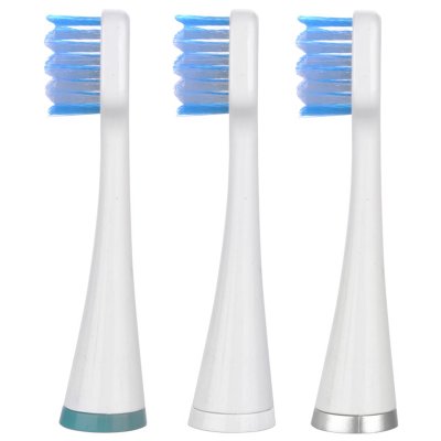 博皓（prooral）2090标准型清洁牙刷头配件3个装（黑色）
