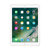 苹果（Apple）iPad 9.7英寸平板电脑 128G(金色 WLAN版)第3张高清大图