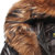 南极人男装绵羊皮皮羽绒 男式可脱卸毛领皮羽绒服 55071(棕色)第4张高清大图