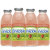 美国进口 Snapple斯纳普 草莓及奇异果混合味饮料 473ML/瓶第2张高清大图