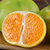 宜昌青皮蜜桔3斤(果径55-65mm)新鲜水果酸甜薄皮橘子第2张高清大图
