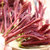 【顺丰空运】四川大竹头茬红油香椿芽新鲜蔬菜500g(500g)第5张高清大图