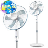 美的（Midea） FS40-12DRW 电风扇/五叶遥控落地扇
