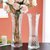 银柳专用花瓶加厚大号花瓶玻璃透明客厅摆件水培植物富贵竹百合插(30六角款（竹叶）)第3张高清大图