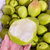 杞农云商 山西特产红香酥梨 甜脆梨子新鲜水果现货香梨(2500g)第4张高清大图