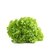 【顺丰】罗莎绿生菜 绿萝莎花叶生菜 新鲜蔬菜即食沙拉食材(500g)第2张高清大图