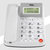 TCL来电显示电话机家庭办公大音量大按键165白色第4张高清大图