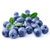 杞农云商 新鲜蓝莓 时令水果 果径12mm以上 125g/盒 4盒装 顺丰包邮(125g*4盒)第2张高清大图