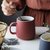现代简约马克杯纯色 莫兰迪陶瓷咖啡杯大容量牛奶杯情侣杯北欧风(莫兰迪杯-红)第4张高清大图